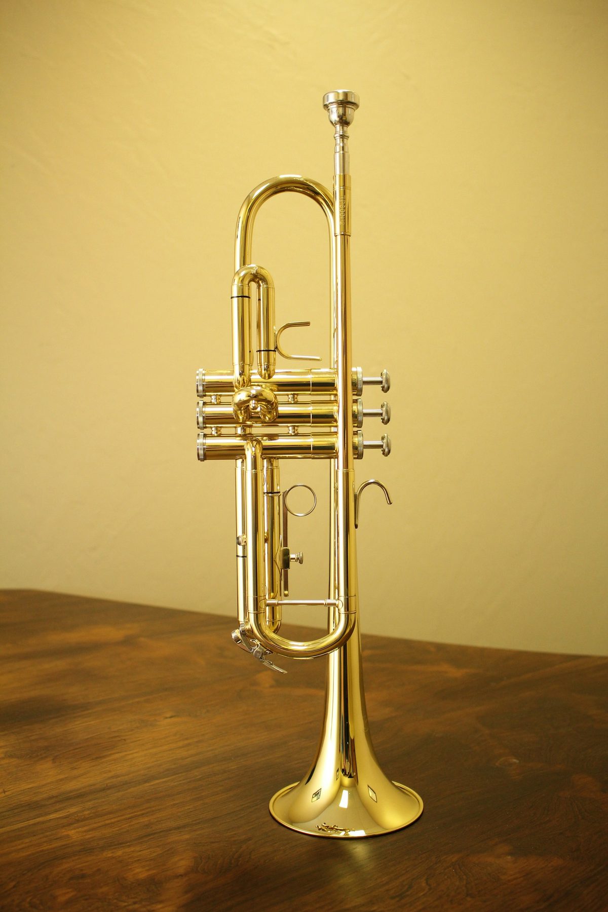 Un instrument de cuivre capturant la lumière, évocateur des formations en compétition au Championnat suisse de Brass Band