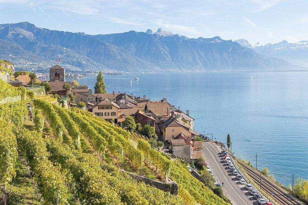 Vineyards of Lavaux, Saint-Saphorin, Lake Geneva and the Alps