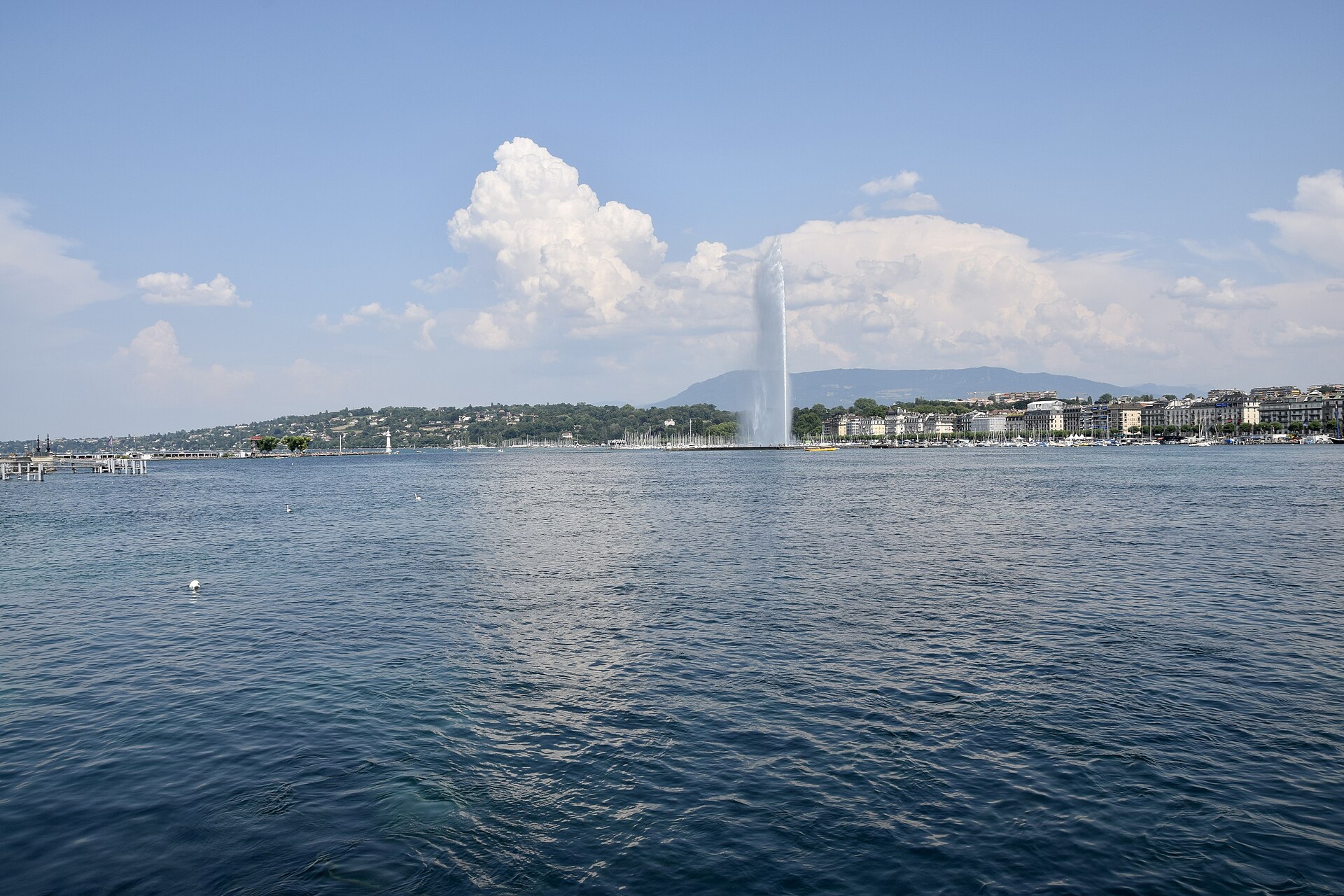Jet d'eau et les rives du lac à Genève