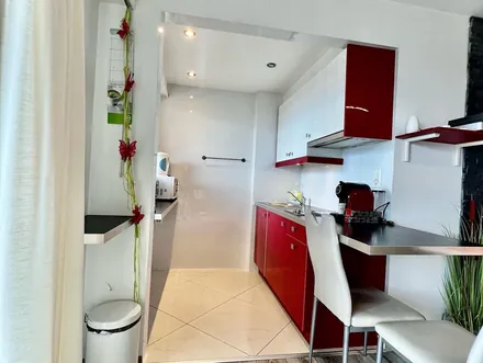 Grand studio 46m², magnificent lake view — 1 to 3 persons, Clarens — photo 11