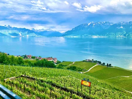 Privileged apartment with private Spa — 3.5 rooms, lake-facing balcony, Montreux — photo 22
